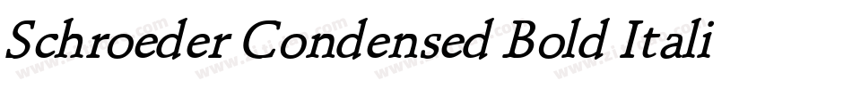 Schroeder Condensed Bold Italic字体转换